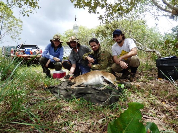 A equipe de veterinários (da esquerda para a direita, Thamy, Higor e Namore) e eu. Neste dia estava auxiliando eles a capturar alguns veados-campeiro.