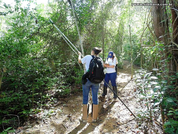 Como é a grade curricular do curso de Biologia223