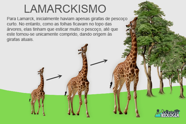 As principais ideias evolucionistas- lamarckismo