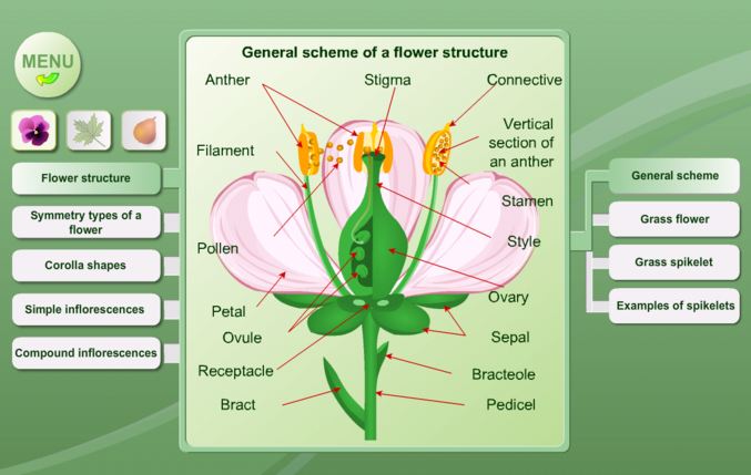 13 apps incríveis para professores de biologia