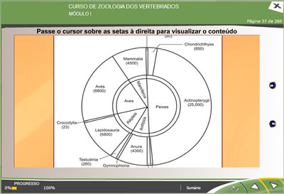 CURSO ONLINE DE ZOOLOGIA DOS VERTEBRADOS2