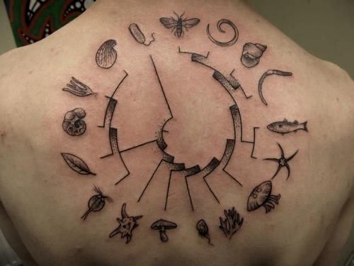 tatuagens-inspiradoras-para-biologos
