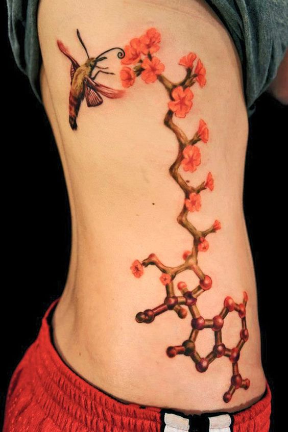 tatuagens-inspiradoras-para-biologossrr